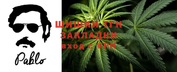 твердый Осташков