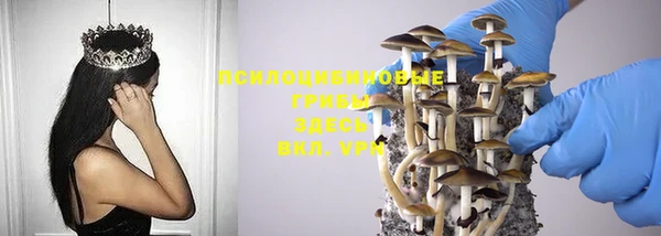 твердый Осташков