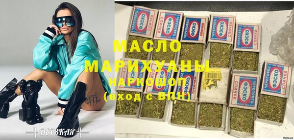 индика Новодвинск