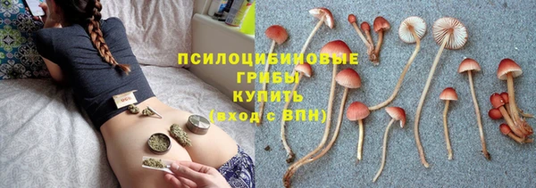 амф Няндома
